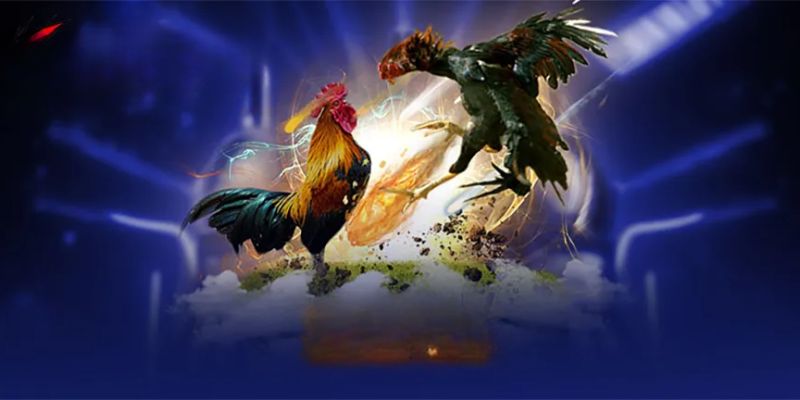 Cả hai hình thức thi đấu này đều kịch tính và rất căng thẳng